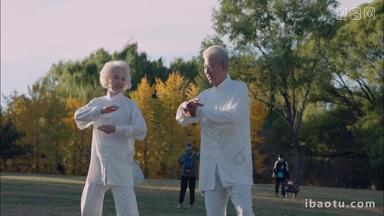 幸福的老年夫妇在公园里练太极拳